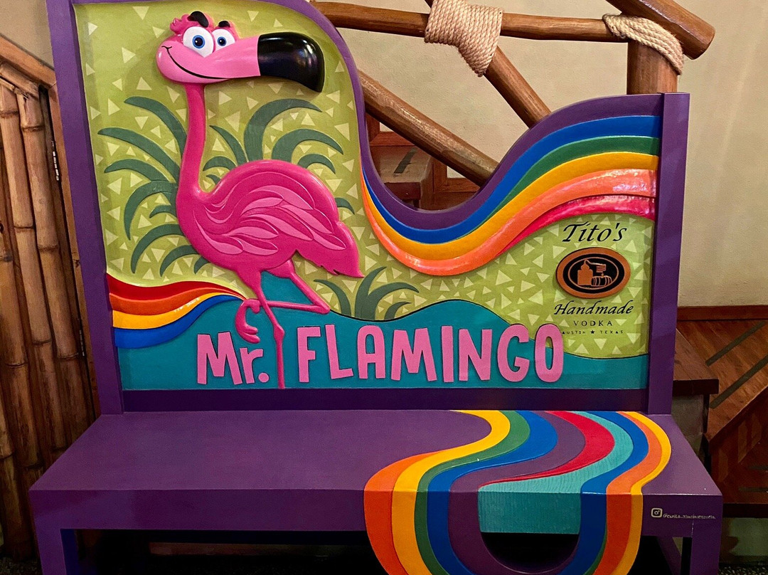 Mr. Flamingo景点图片