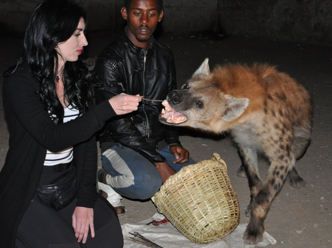 Harar Tour A Collection of Unique Moments景点图片