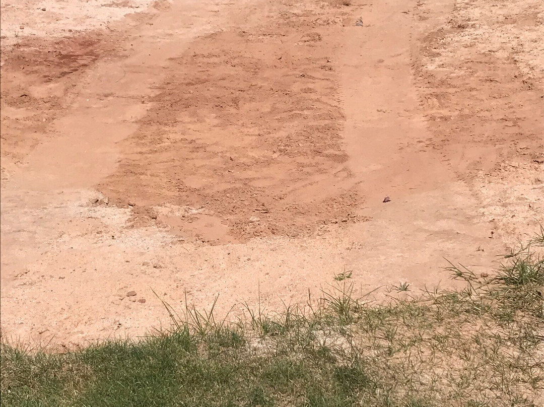 Green Gables Golf Club-卡文迪西必去景点