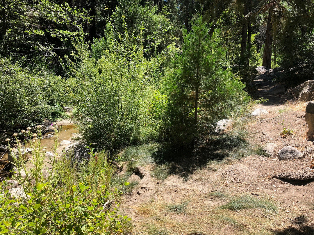 Idyllwild Park-Idyllwild必去景点