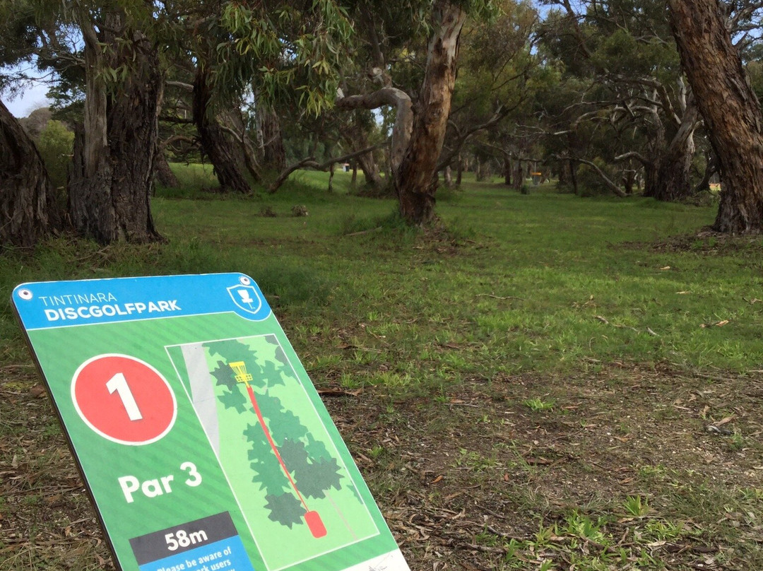 Tintinara Disc Golf Course-Tintinara必去景点