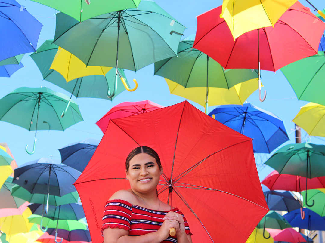 Umbrella Alley-Baytown必去景点