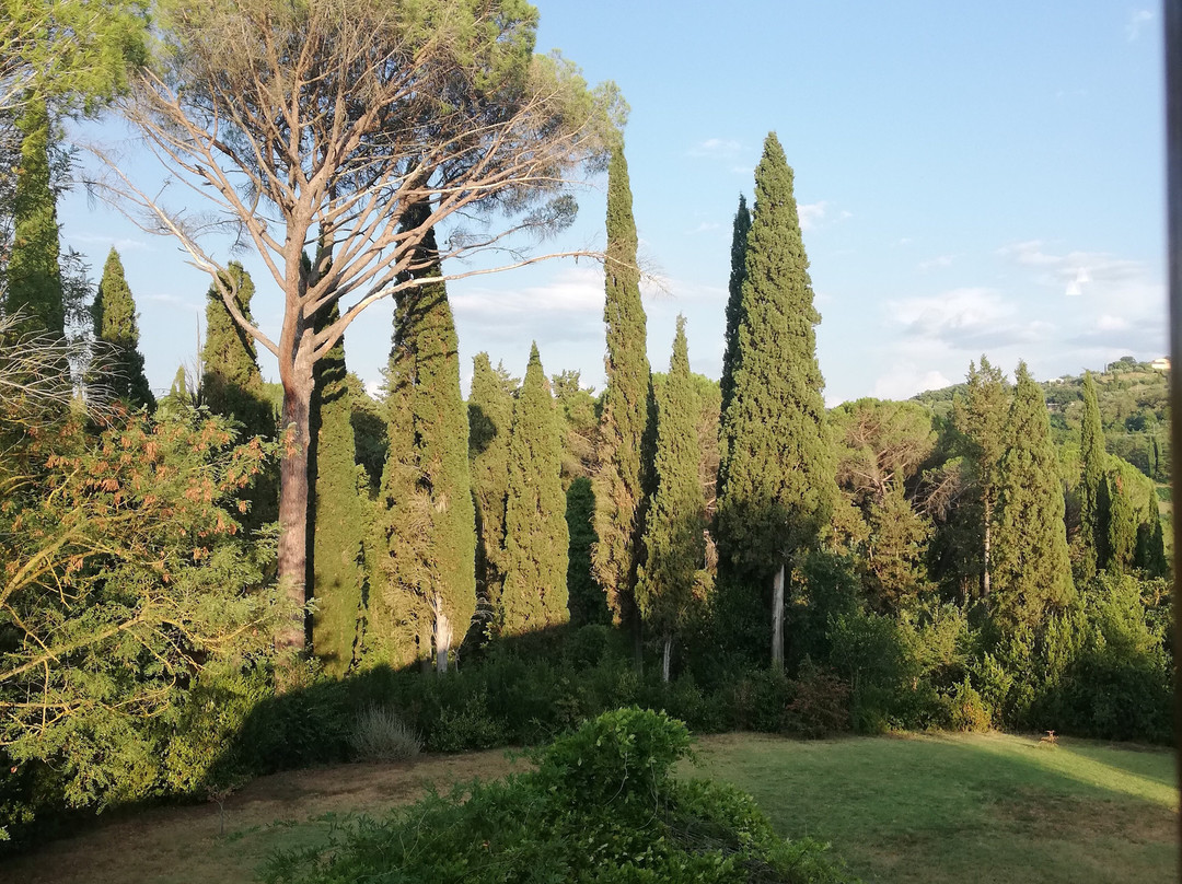 Al Giardino degli Etruschi主图