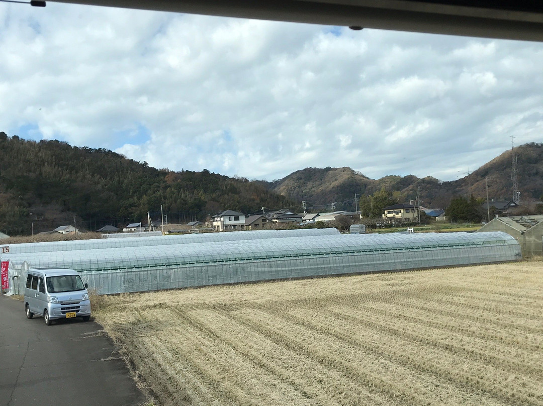 Ema Strawberry Picking Center-伊豆之国市必去景点