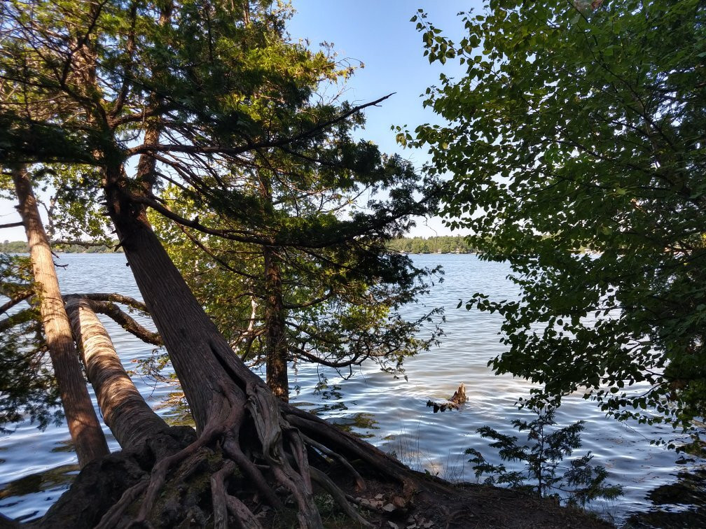 Bass Lake Provincial Park景点图片