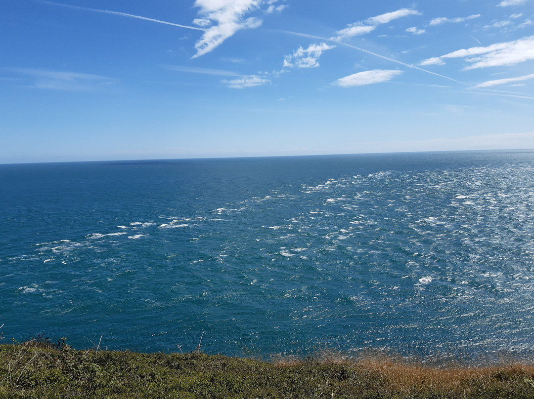 St Aldhelms Head - South West Coast Path walk-Worth Matravers必去景点