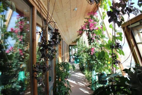 Earthship Visitor Center-道师城必去景点