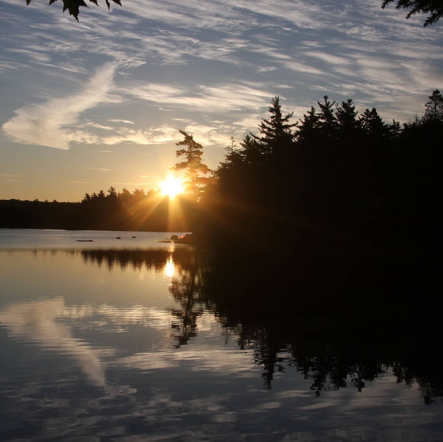 Mersey River Chalets and Nature Retreat-泳池