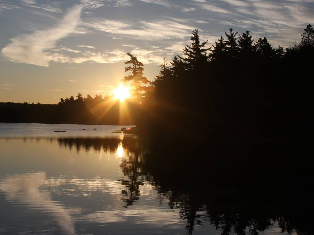 Mersey River Chalets and Nature Retreat主图