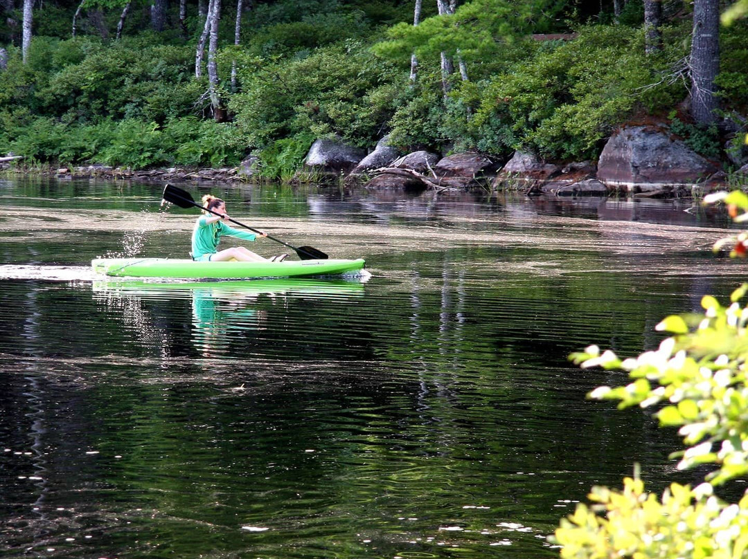 Mersey River Chalets and Nature Retreat主图