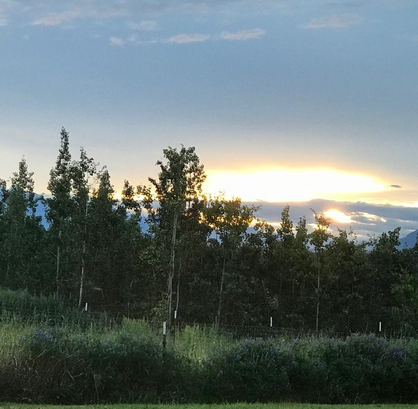 Pioneer Ridge Bed and Breakfast Inn主图