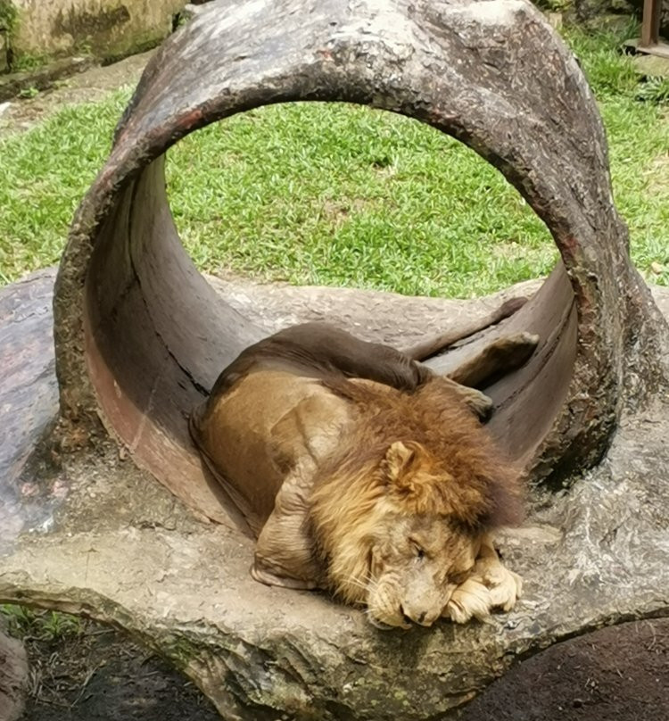 Zoo Johor-新山必去景点