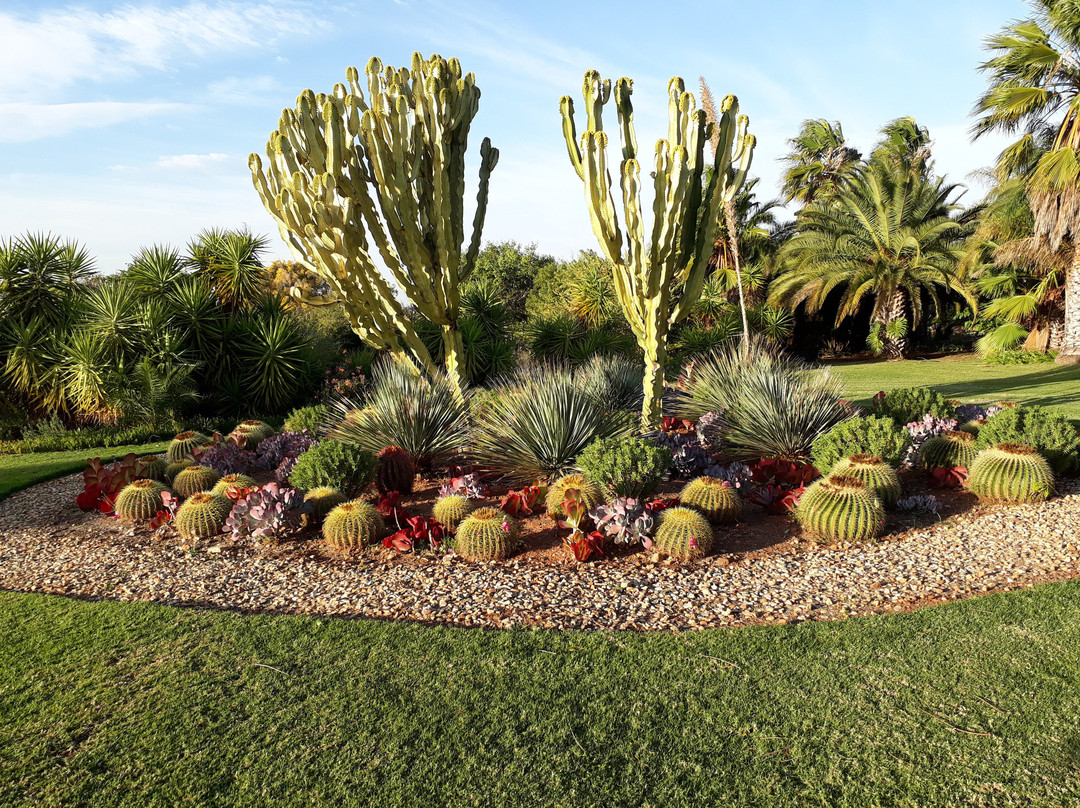 Mo & Rose at Soekershof主图