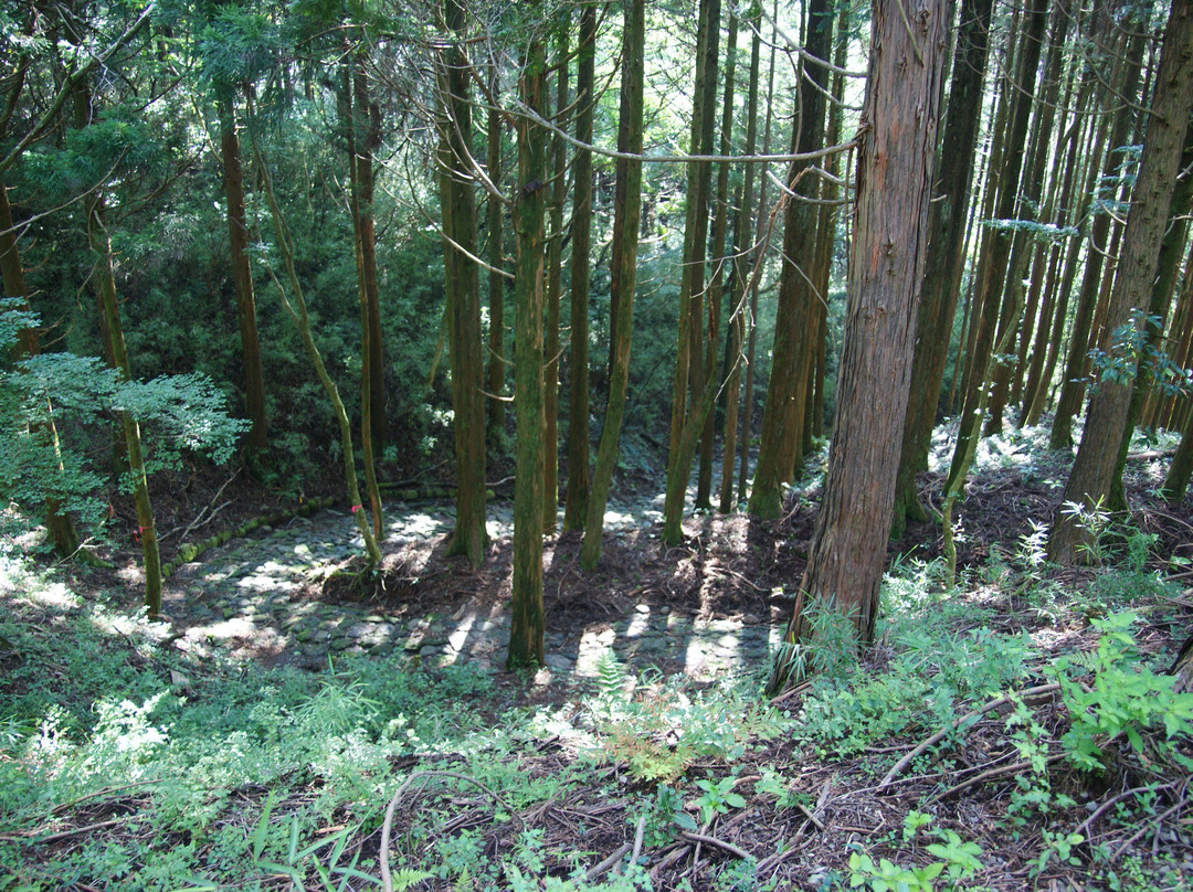箱根旧石铺路-箱根町必去景点
