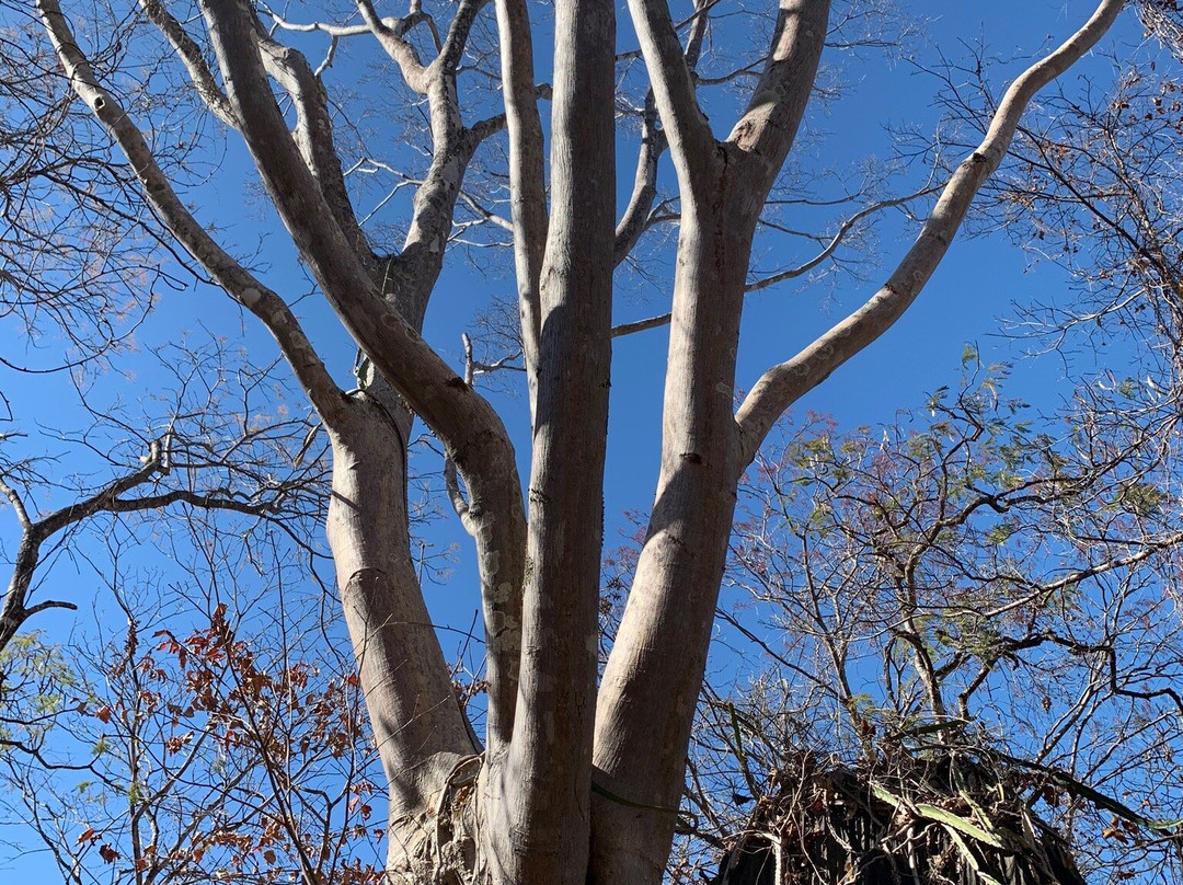 Cachoeira do Funil-Mambai必去景点