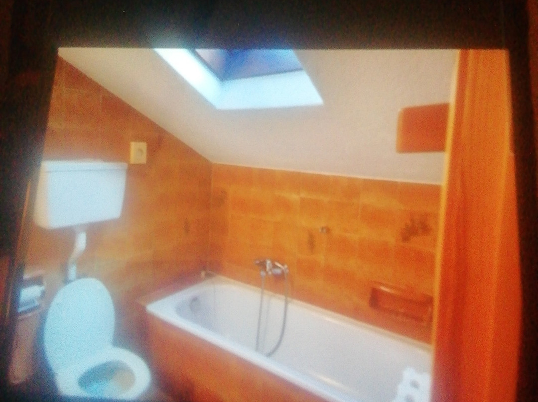 Animal Chic Hotel La Grange主图