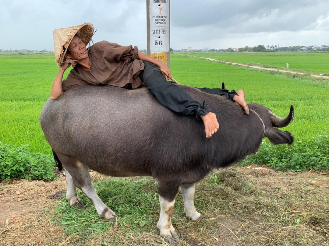 Hoi An Rural Discovery Tours-会安必去景点