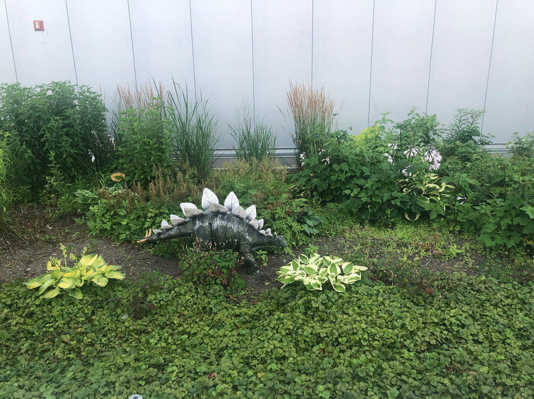 康涅狄格州科学中心-哈特福德必去景点