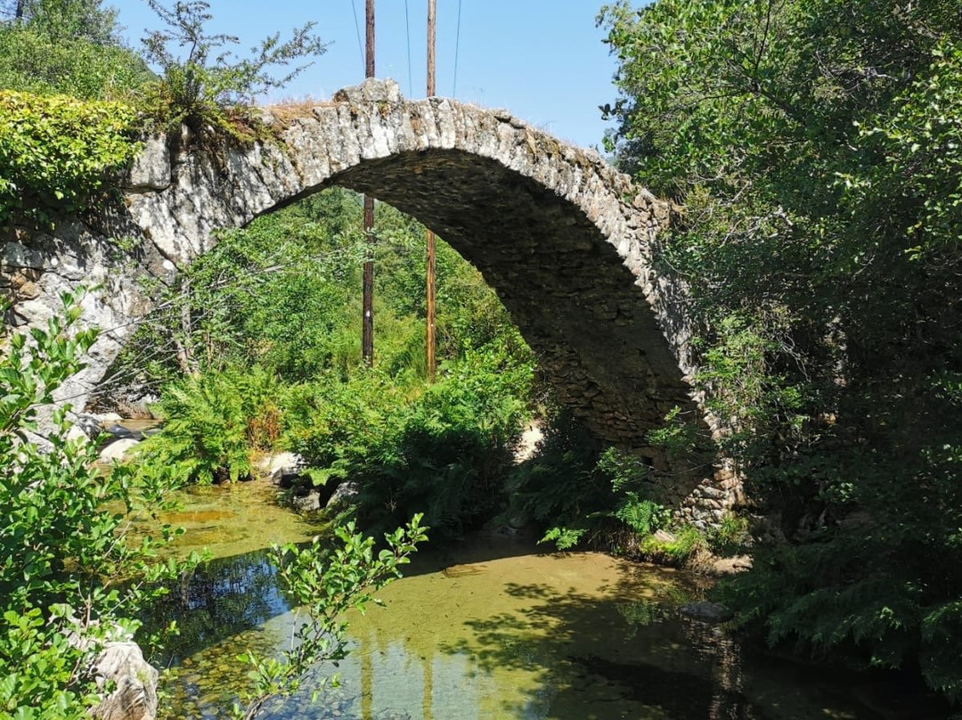 Pont génois de Zipitoli景点图片