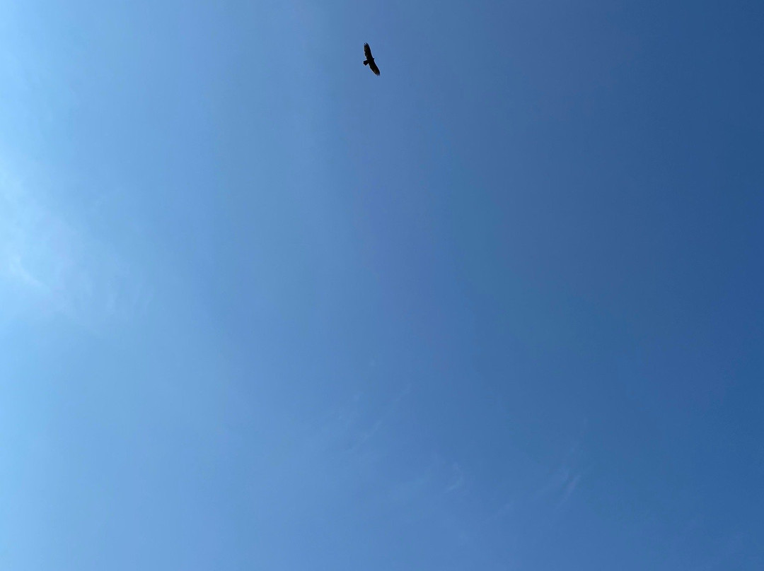 TREC Calico Trail-Effingham必去景点