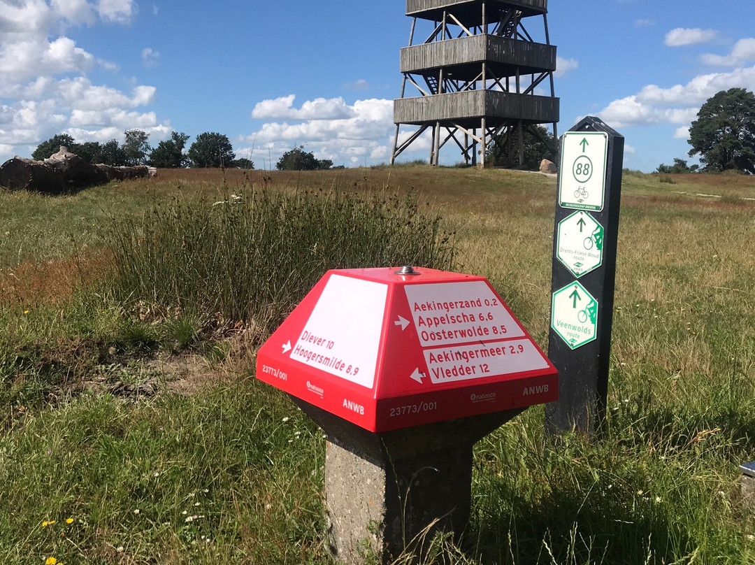 Nationaal Park Drents-Friese Wold-Appelscha必去景点