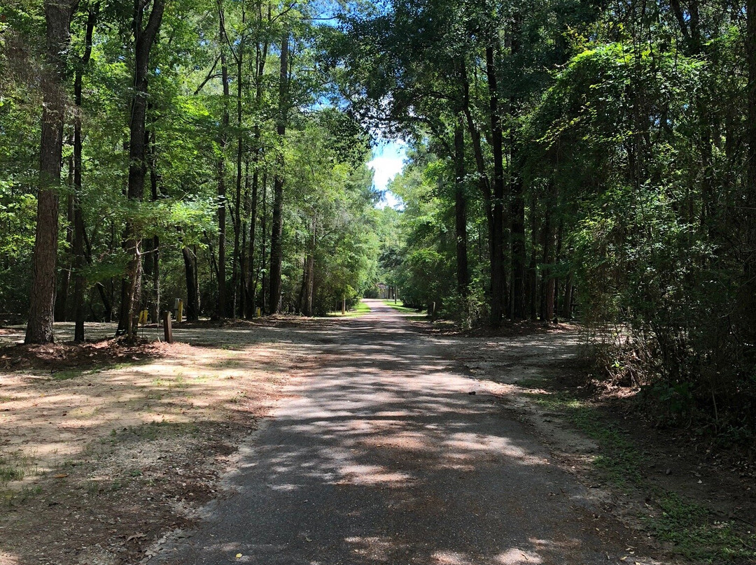 Chickasabogue Park Alabama景点图片