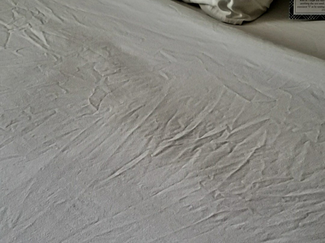 Thunderbird Inn主图