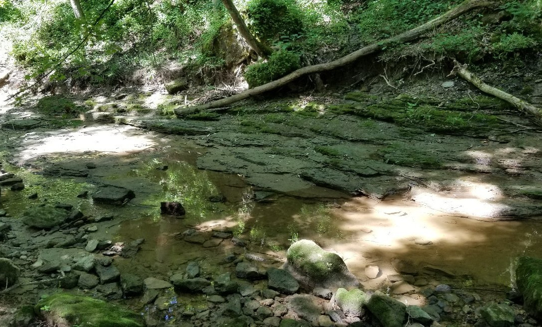 Fallsville Wildlife Area-New Vienna必去景点