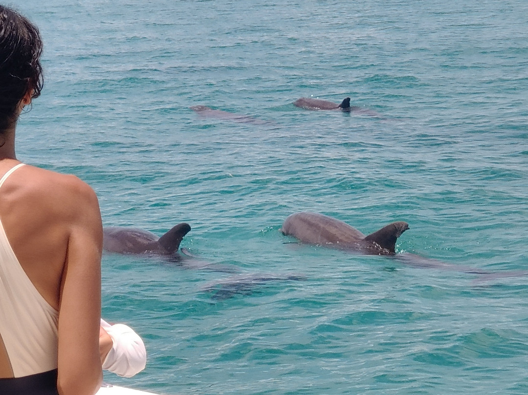 Straw Hat Charters-基韦斯特必去景点