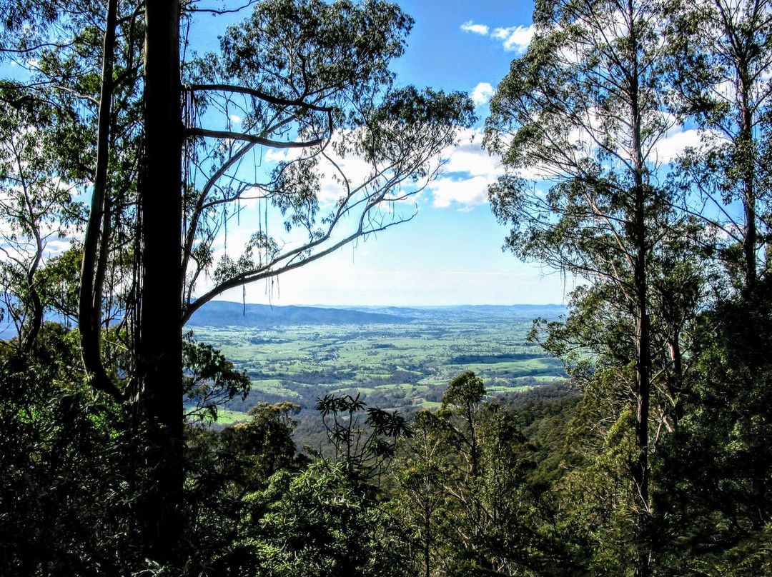Fred Piper Memorial Lookout-Bemboka必去景点