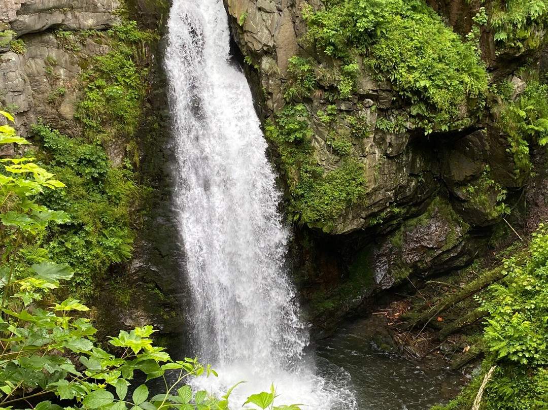 Wilczki Waterfall景点图片