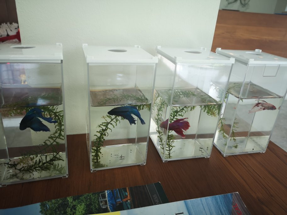 奥南迷你屋酒店主图