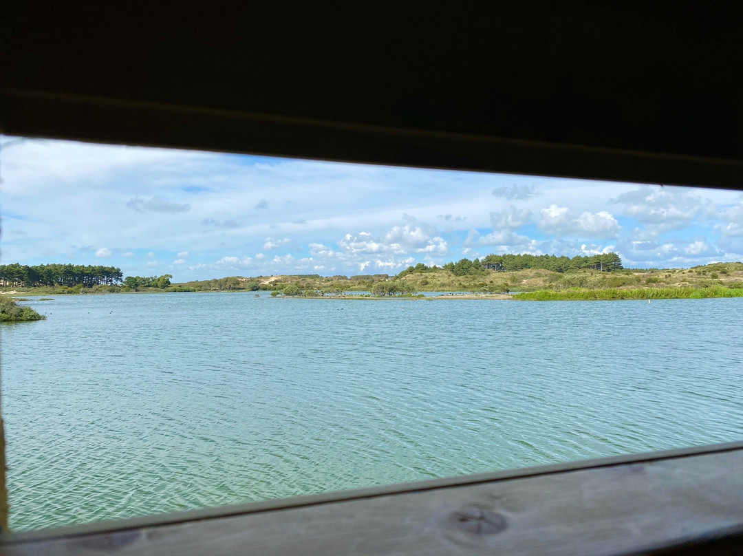 Nationaal Park Zuid Kennemerland-Overveen必去景点
