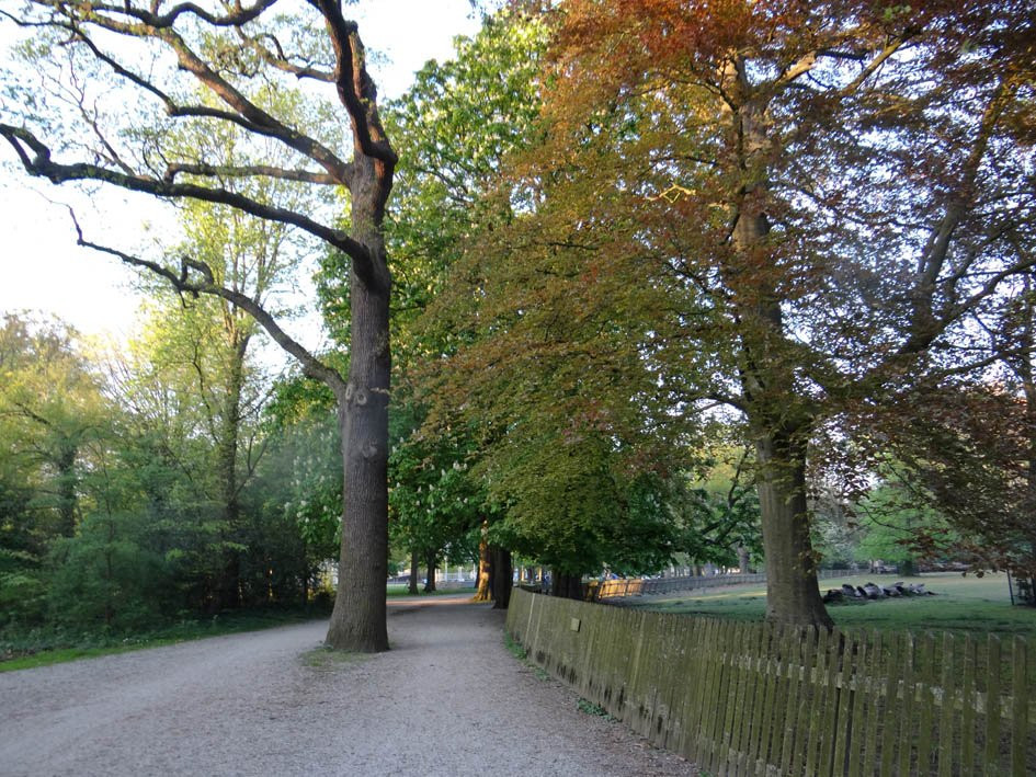 Haarlemmerhout景点图片