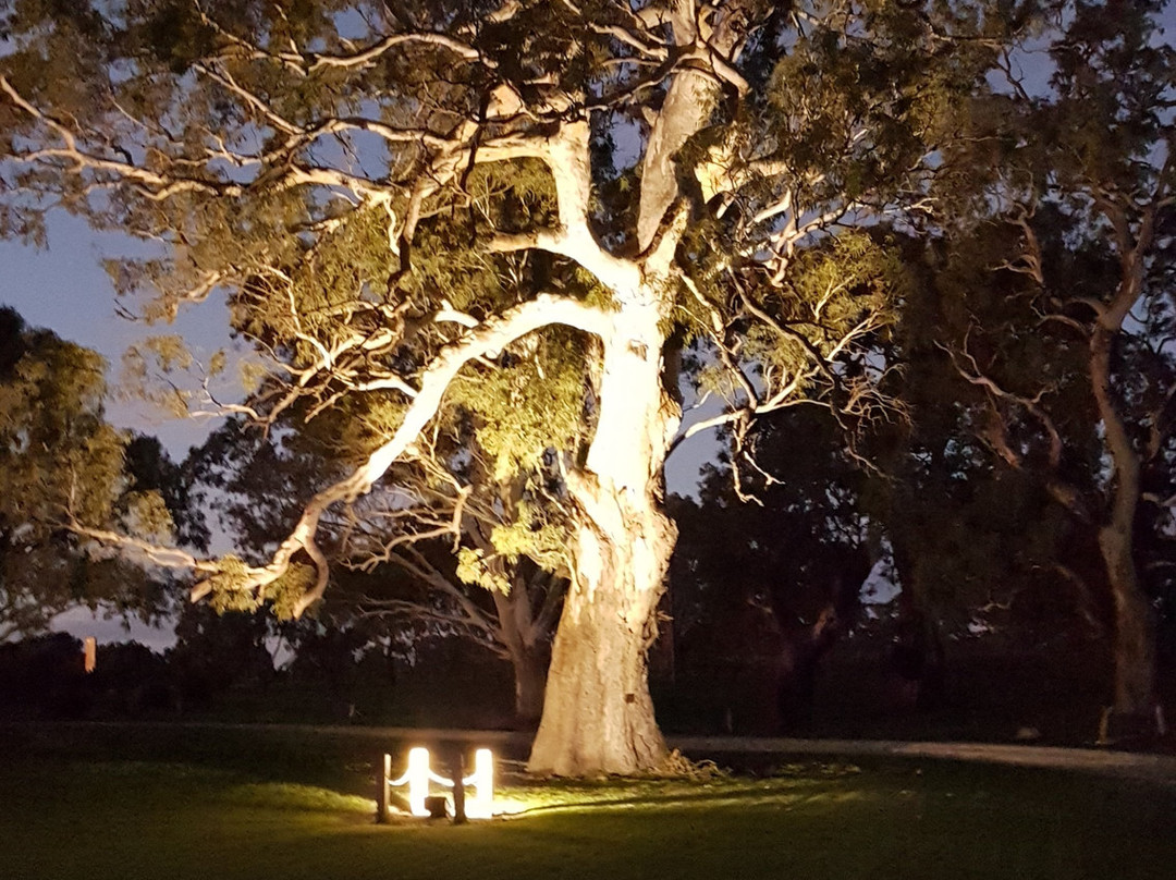 Punters Corner The Retreat主图