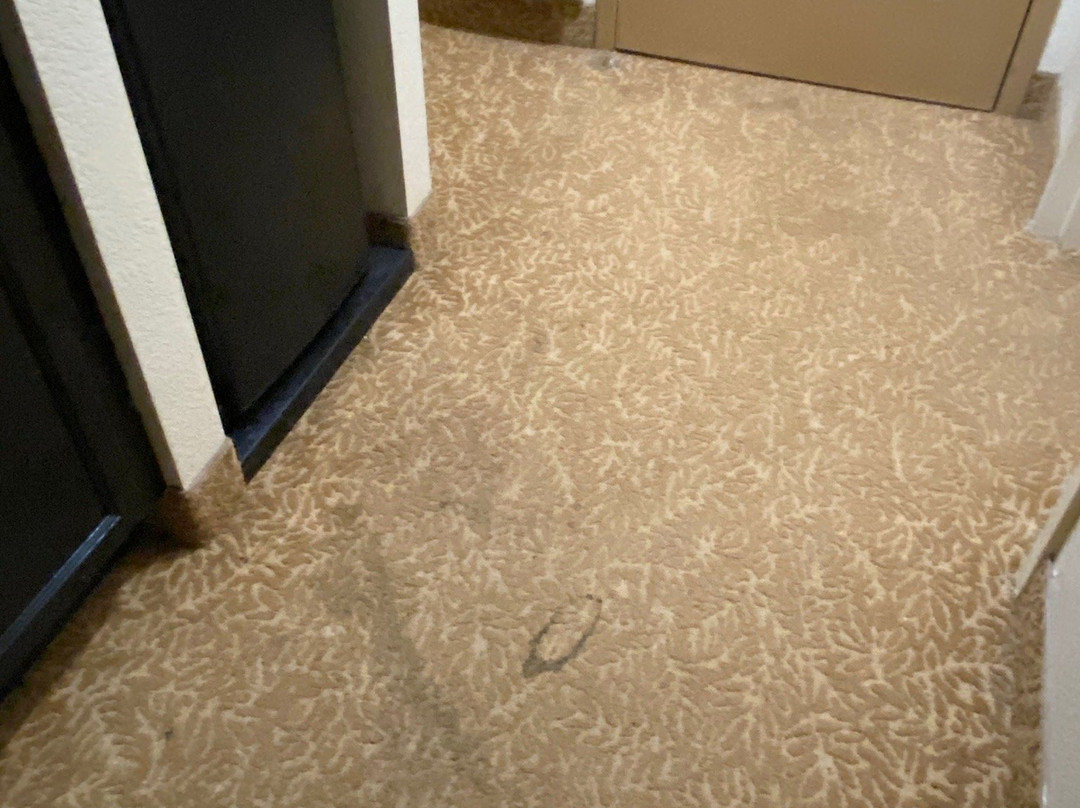 Country Inn & Suites by Radisson, Anderson, SC主图