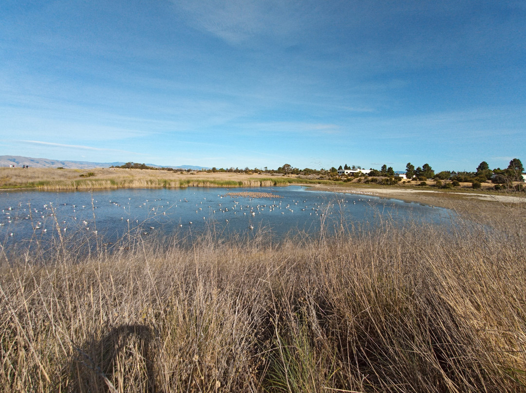 帕罗奥图海湾湿地自然保护区-帕罗奥多必去景点