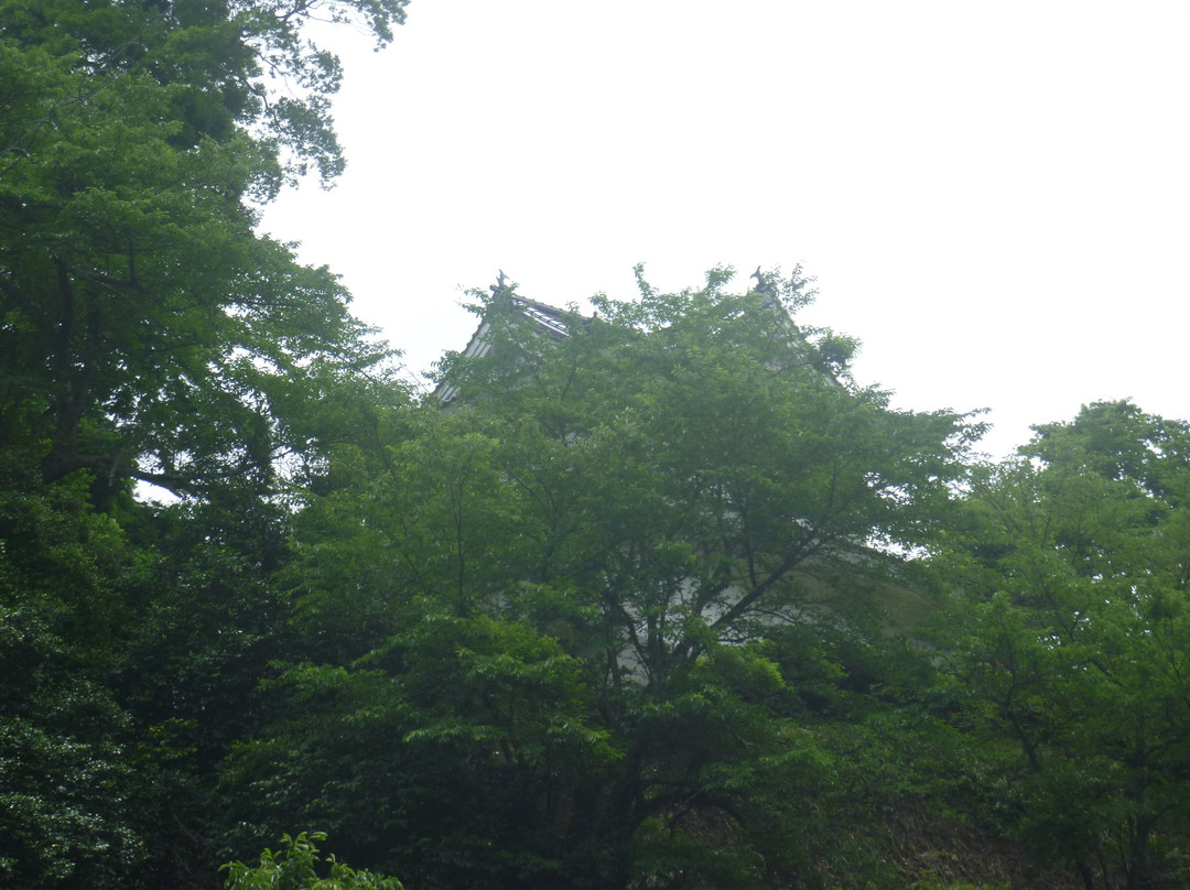 Ebi Castle Ruins景点图片