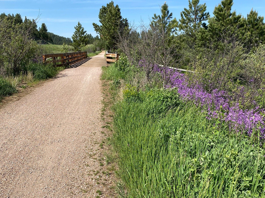 Rabbit Bike Rentals-希尔城必去景点