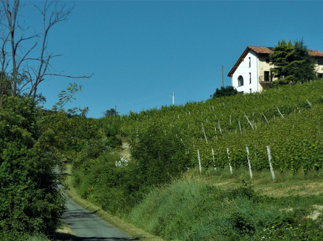 Cascina Malinverni主图