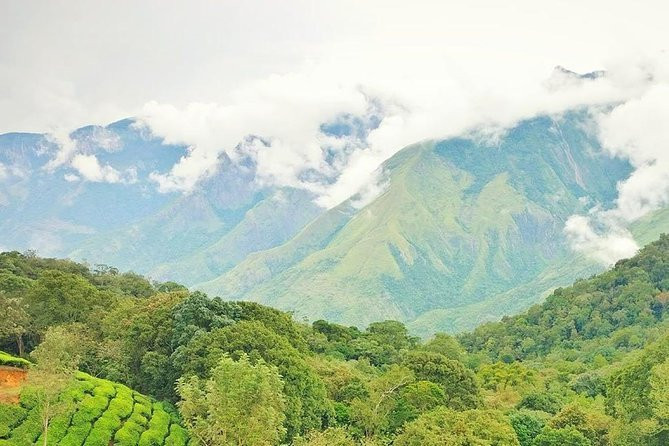 Kurangani-Theni必去景点