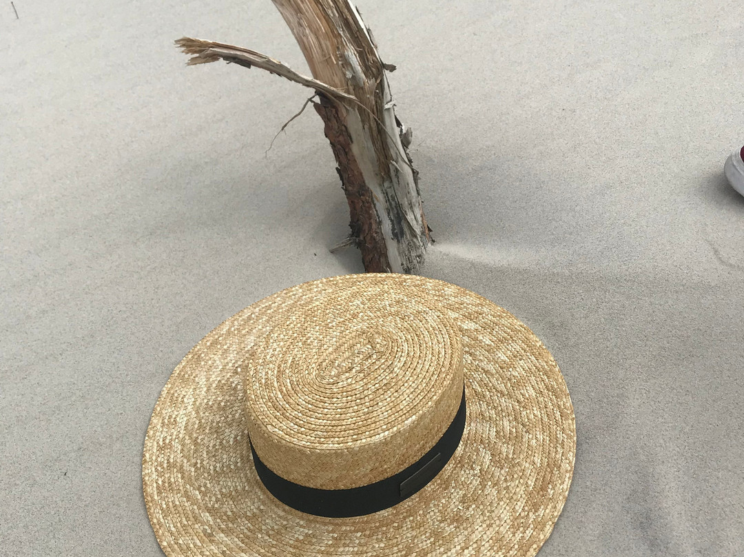 Palac Ciekocinko Hotel Resort & Wellness主图