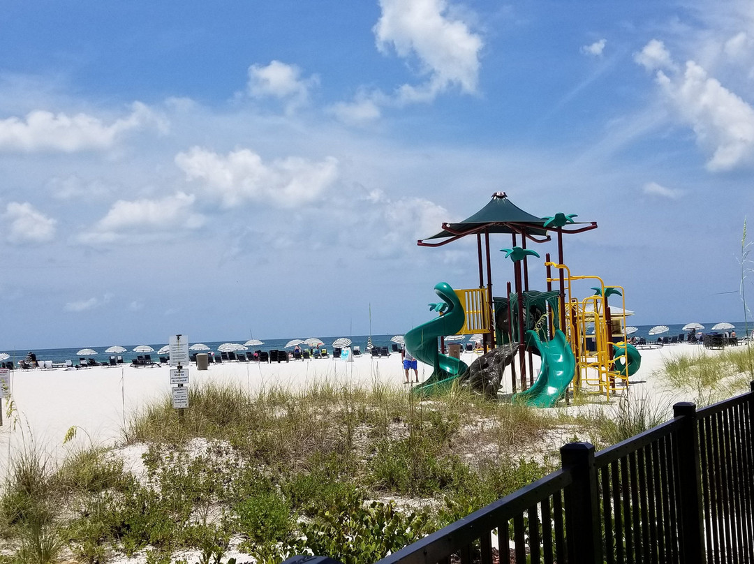 Sirata Beach Resort St Pete Beach主图