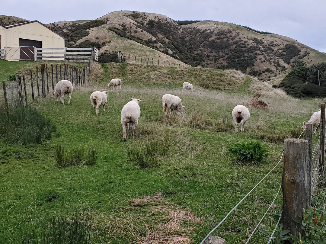 Paekakariki Escarpment Walkway景点图片