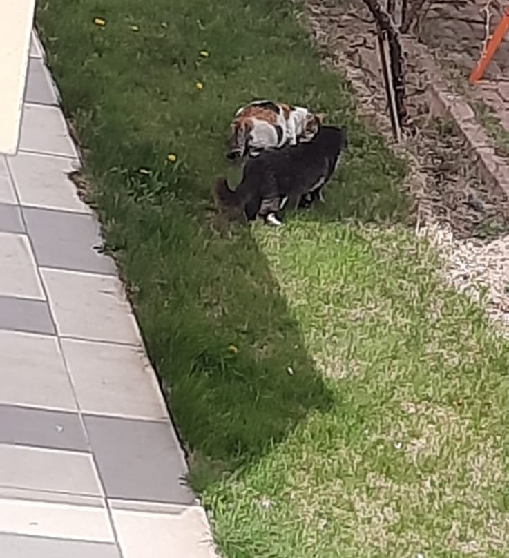 Fimaj Residence & Hotel主图