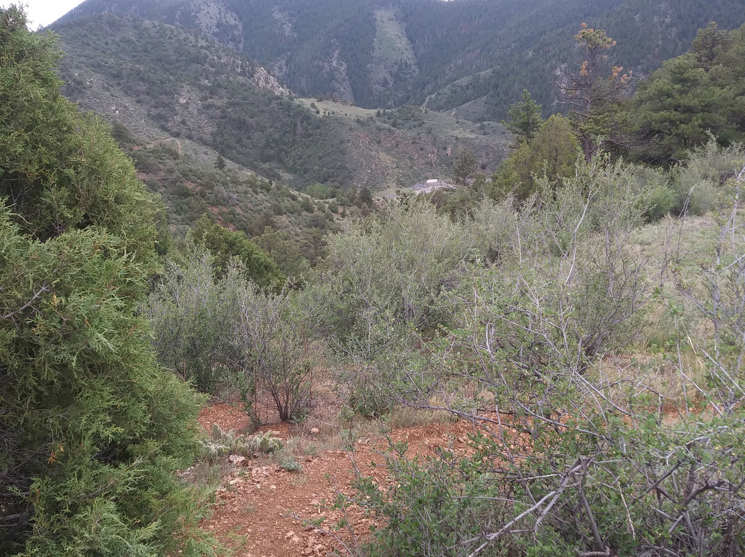 Centennial Cone Park-戈尔登必去景点