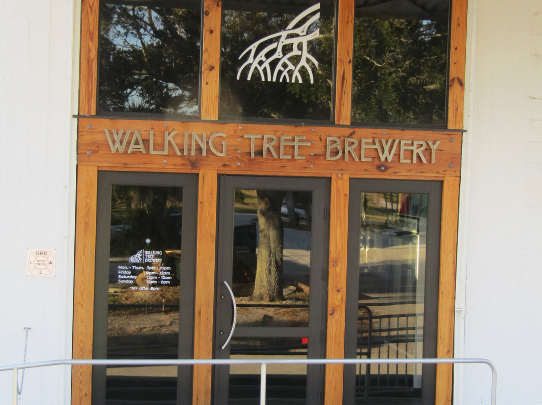 Walking Tree Brewery-维罗海滩必去景点