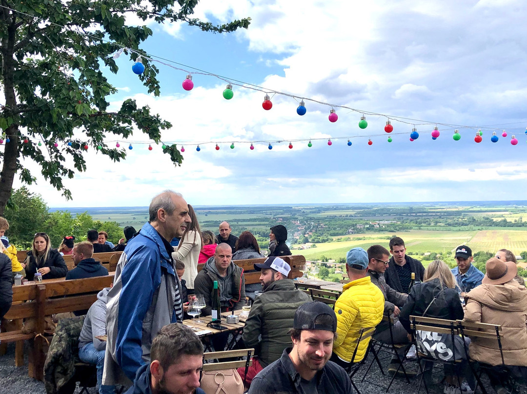 Hanna Vendeghaz Somlo