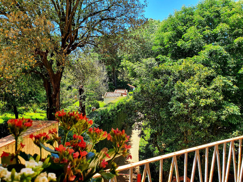 安纳利纳酒店主图