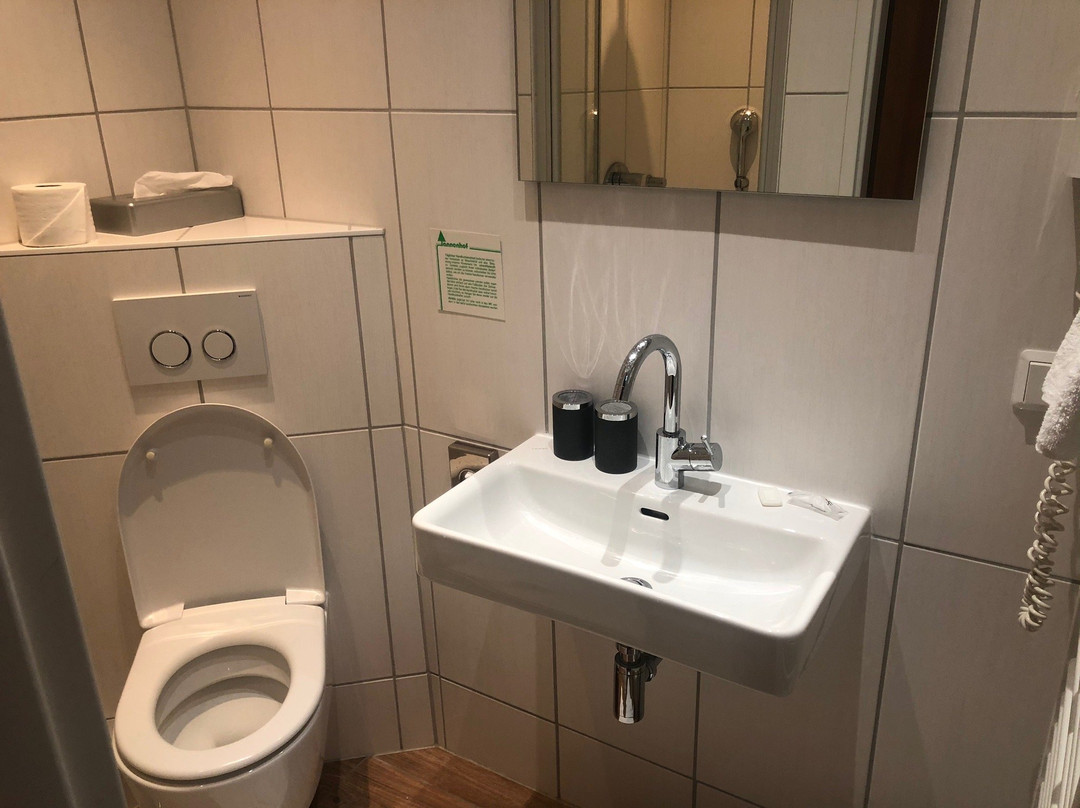 Solehotel Tannenhof主图